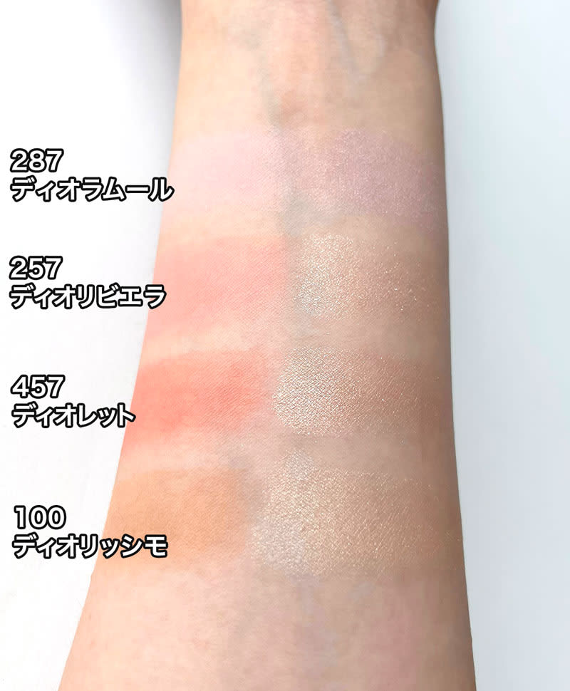 Diorskin Rouge Blush Color & Glow face powder (July 5 2024)