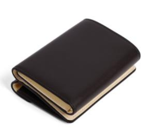 BALENCIAGA / Women's Japan Exclusive - ENVELOPE Mini Wallet